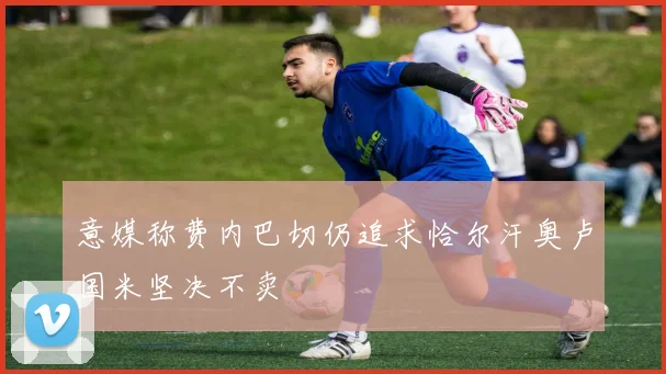 意媒称费内巴切仍追求恰尔汗奥卢国米坚决不卖